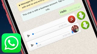 How To Save WhatsApp  Voice Message & songs To iPhone Directly