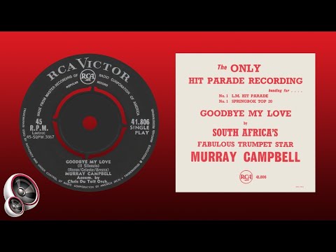 Murray Campbell - Goodbye my love (Il silenzio)