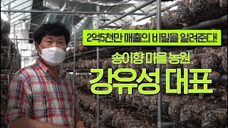 표고버섯 스마트팜 재배로 억대 수입을 올린 방법(feat. 자연습을 이용한 표고버섯 재배)