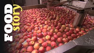 Thumbnail del capítulo