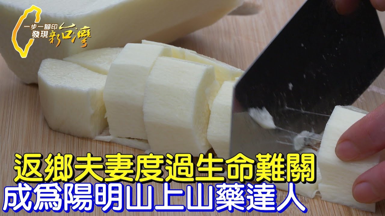 《一步一腳印》陽明山山藥新出路 夫妻攜手度過生命難關