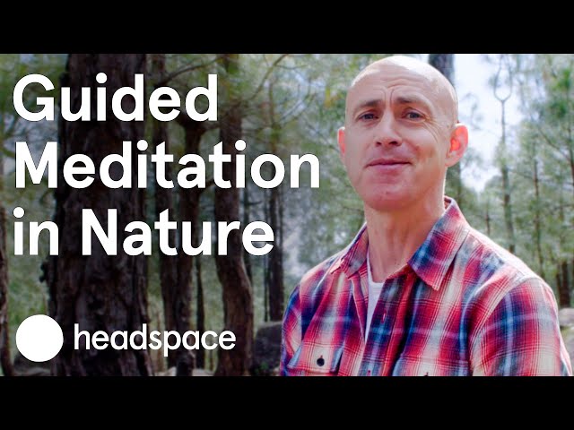 Guided Meditation in Himalayan Forest