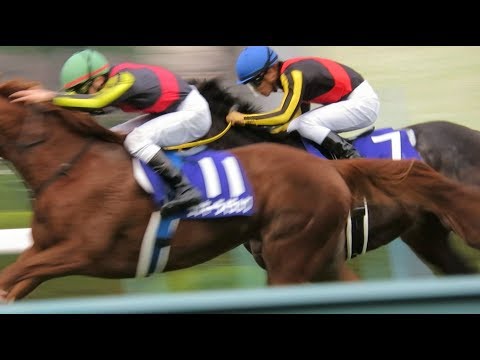 H29.12.10　阪神11R　阪神ジュベナイルＦ　ＧⅠ　勝ち馬：ﾗｯｷｰﾗｲﾗｯｸ