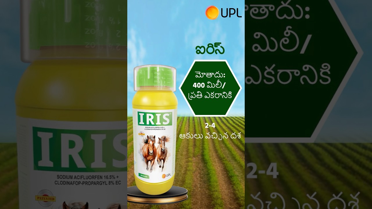 ఐరిస్‌మరియు సెంచూరియన్‌ఈజీతో కలుపుమొక్కల నియంత్రణ పూర్తిగా ఈజీ