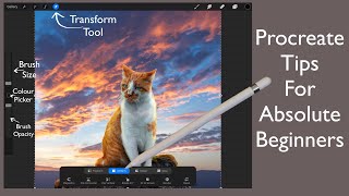 Absolute Beginners Guide to Procreate 5.0 Photomanipulation