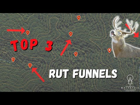 Top 3 Rut Funnels to Catch Big Bucks Cruising This November