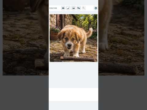 Jigsaw Alive: Jigsaw Puzzles video thumbnail