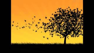 O VENTO - Los Hermanos | COM LETRA