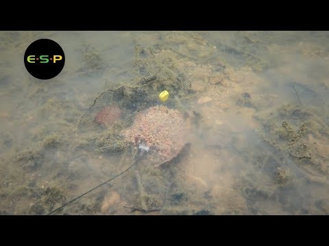 Kev Hewitt - PVA-Beutel