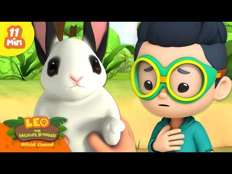Find the Pet Rabbit in the Island! | Leo the Wildlife Ranger | Learning Animal Cartoons - Kids TV Series, Kingdom Kids Zone - Leo the Wildlife Ranger - Official Channel