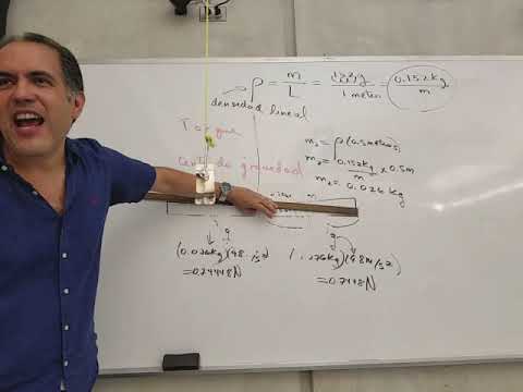 ciencias integradas lecture13c