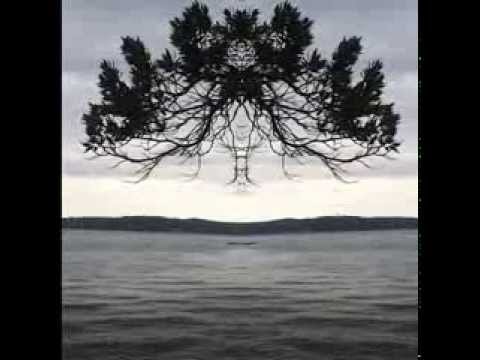 Betty Corrigall - The Magnetic North
