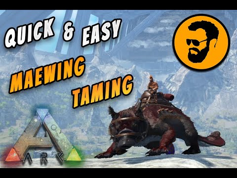 Quick And Easy Maewing Taming Ark