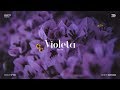 아이즈원 (IZ*ONE) - 비올레타 (Violeta) Piano Cover 아이즈원 (IZ*ONE) - 비올레타 (Violeta) Piano Cover