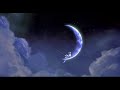 Universal Pictures DreamWorks Pictures Meet The Parents