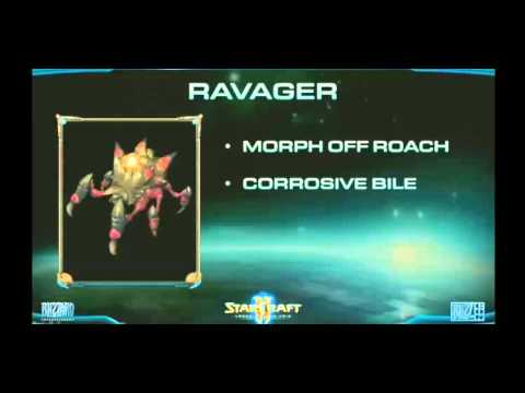 BlizzCon 2014 StarCraft II Multiplayer Panel - Ravager vs Forcefields