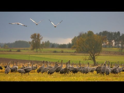Biebrzański Park Narodowy