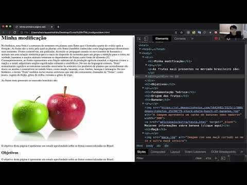 Módulo III - Html - Aula 16 - Introdução ao DOM