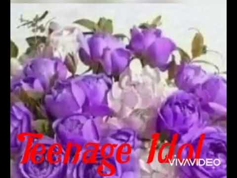 Teenage Idol, Ricky Nelson. (Cover by Tod)