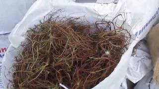 Мох или Джут. Что лучше выбрать и купить