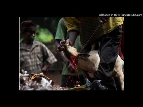 Kile liye Racine Mapou De Azor