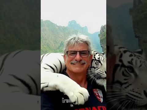 Ich habe nun auch ein Schmusekätzchen, dank KI 🤣🙋‍♀️