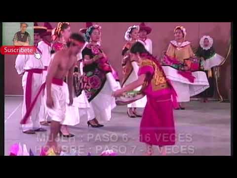 download lagu mp3 mp4 La Tortuga Del Arenal, download lagu La Tortuga Del Arenal gratis, unduh video klip La Tortuga Del Arenal