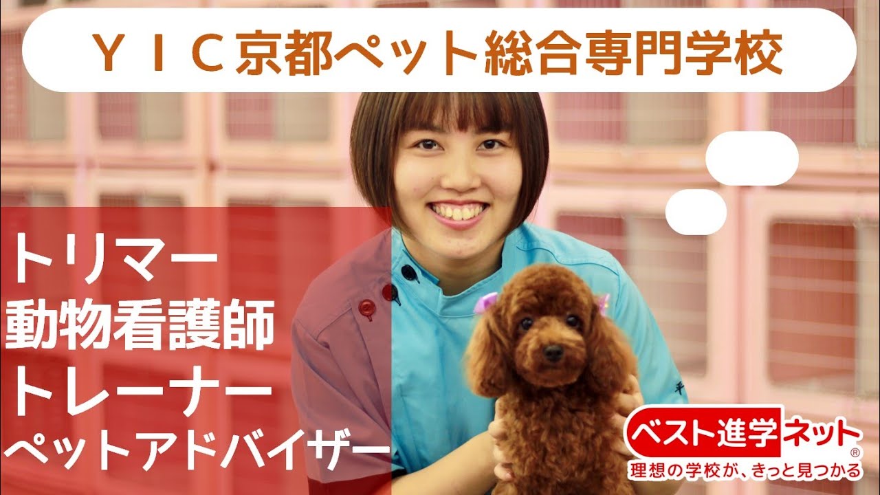 yic 京都 ペット 総合 専門 学校