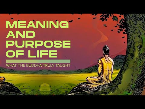 Meaning & Purpose of Life: What the Buddha Truly Taught?