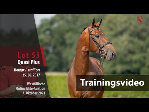 62nd Elite Auction Training Lot 53 Quasi Plus v. Quasimodo van de Molendreef/Quinta Real