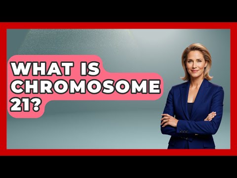 What Is Chromosome 21? - Biology For Everyone