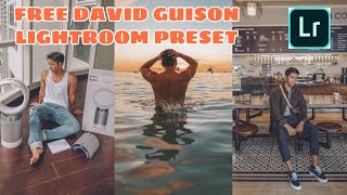DAVID GUISON FREE LIGHTROOM PRESET (LINK IN THE DESCRIPTION)