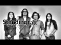 Silly Fools - Standing tall [Audio Lyrics] 2014