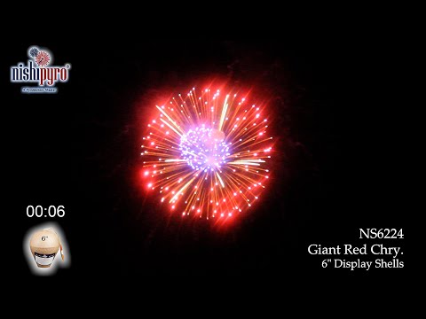 NS6224 - 6" Giant Red Chry.