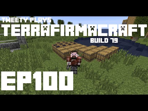 Tweety plays Terrafirmacraft ep 100 - Final until TFC2