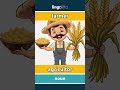 farmer - agricultor video thumbnail