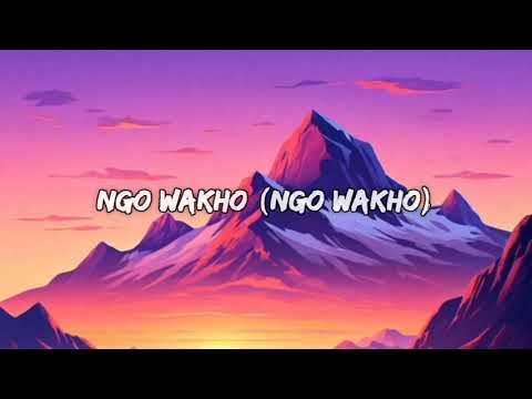 Nasty C - Ngingo Wakho [Lyric video] Ft Lekaa Beats & Gabzy ( lyrics video )