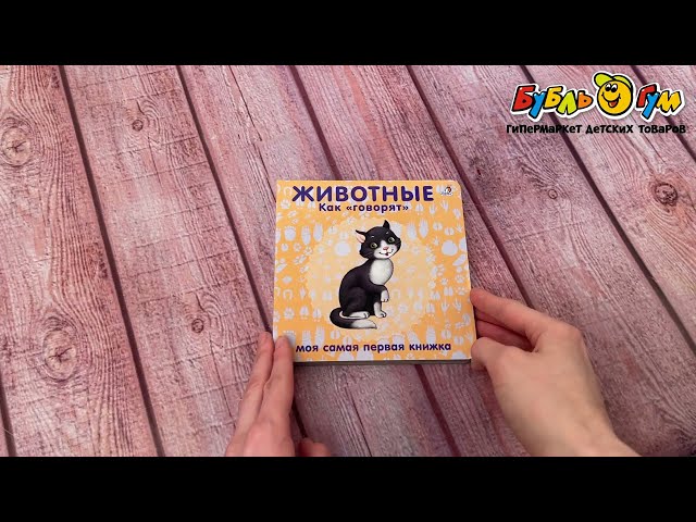 Книга-картонки Робинс Животные Как говорят - видео