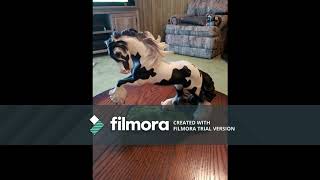 The Trail Of Painted Ponies Collection