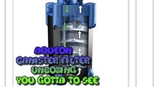 Unboxing of the new Aqueon 300 Canister filter #FishFam #Fishtube #canisters filters