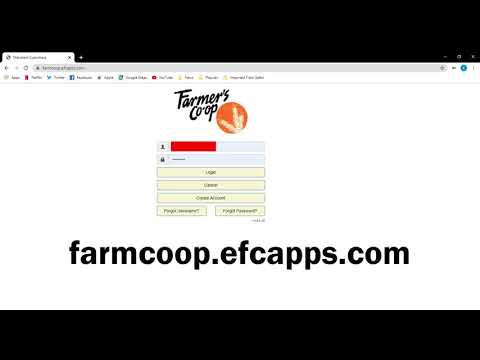 How to set up payment information on Patron Portal
