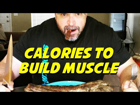 download lagu mp3 mp4 Hard Rock Nutrition Guide, download lagu Hard Rock Nutrition Guide gratis, unduh video klip Hard Rock Nutrition Guide