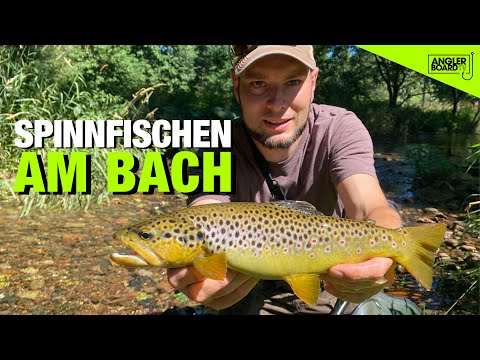 Angeln auf Forellen am Bach | Tipps für Bachforellen | Spinnfischen mit Wobblern | ANGLERBOARD TV