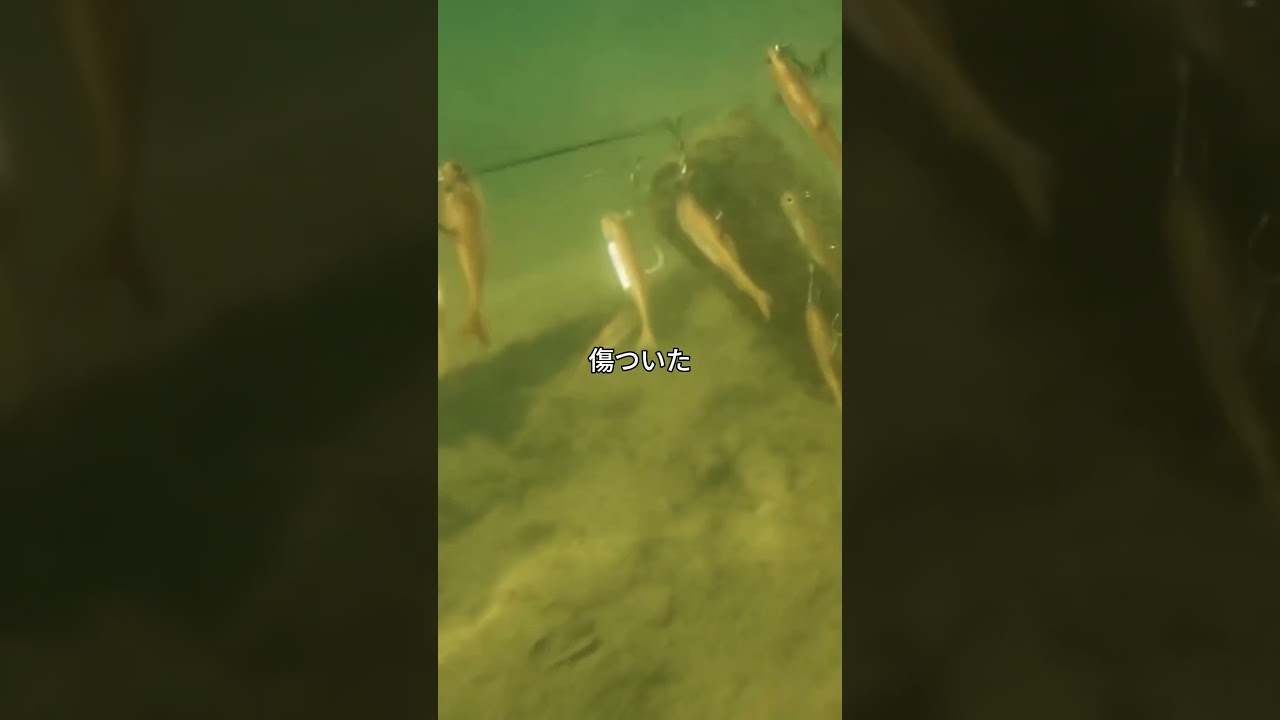 ルアー職人が本当にテストしていること