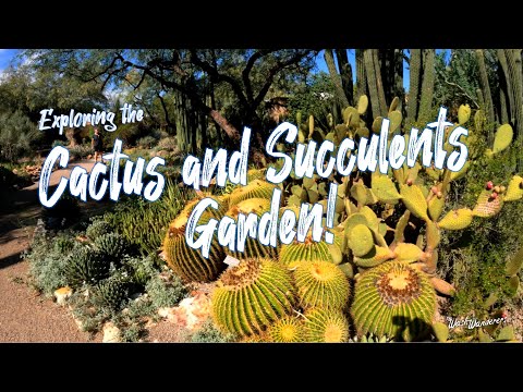 Explore Fascinating Desert Plants on the Cactus & Succulent Garden Trail