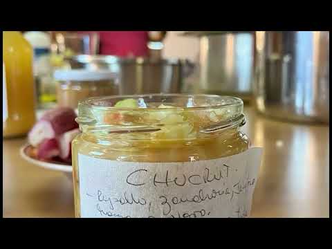 TALLER DE PRODUCTOS FERMENTADOS EN LAGO VERDE