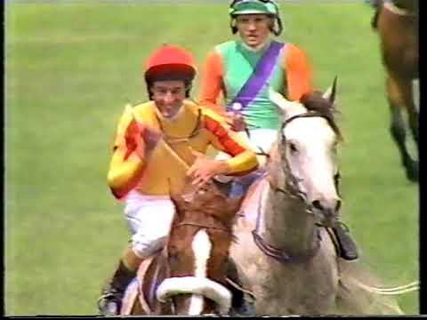 1990 Melbourne Cup  Greg Miles ABC