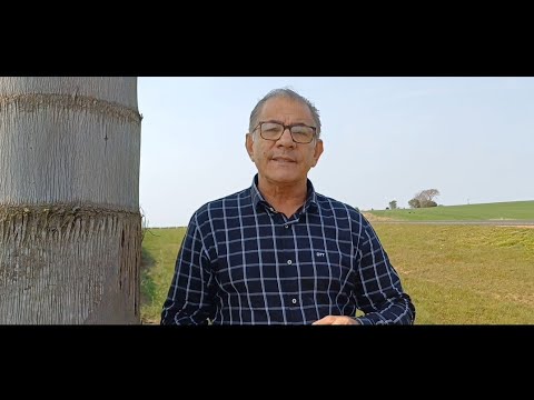 Visão de Isaías/clipeContribua com o canal 42 999768235 pix @BezerraNettoAnaLiseOficial