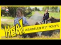 HEA! Wandelen met pony's