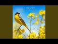 Cathedral of the Pines (Ambient Nature Sounds)